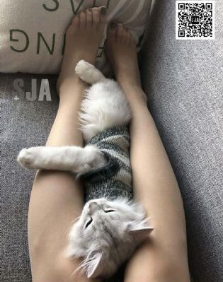高武登录未来一万年免费阅读漫画